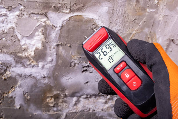 Home Mold Removal in Stem, NC